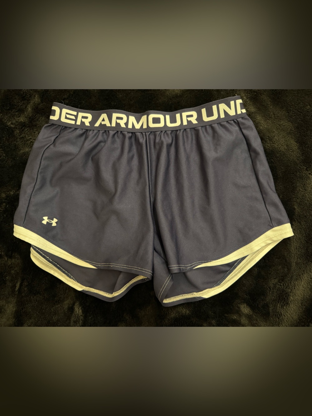 Under Armour Women’s Navy and Gray Performance Shorts